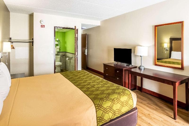 Econo Lodge Cadillac 4