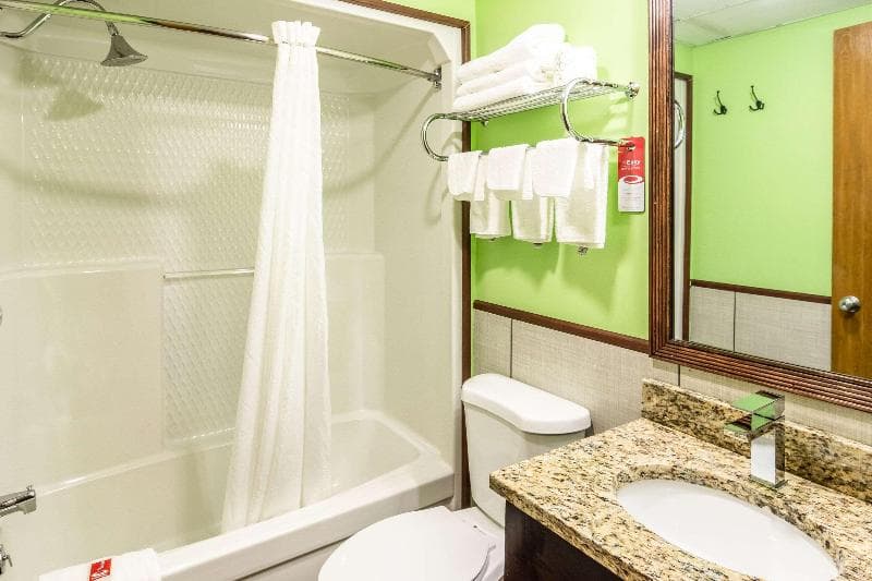 Econo Lodge Cadillac 3