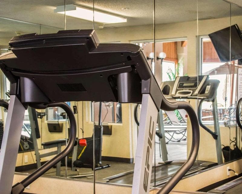 Comfort Inn And Suites Dimondale - Lansing 3