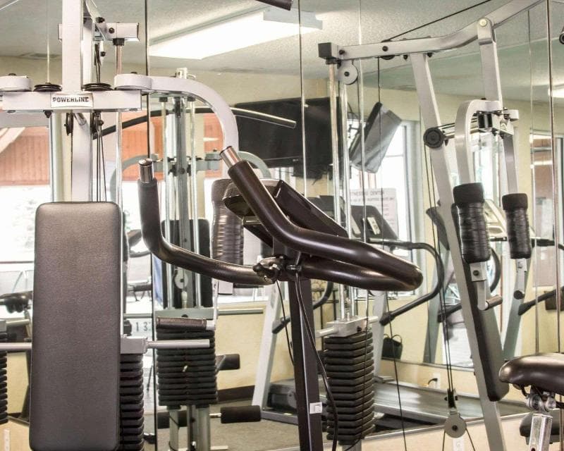 Comfort Inn And Suites Dimondale - Lansing 5