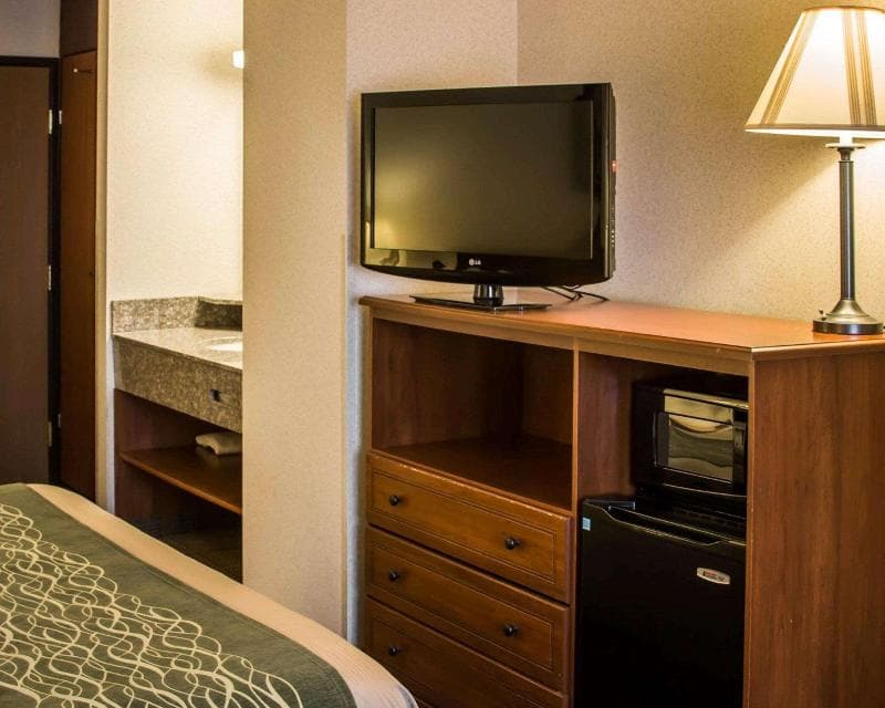 Comfort Inn And Suites Dimondale - Lansing 2