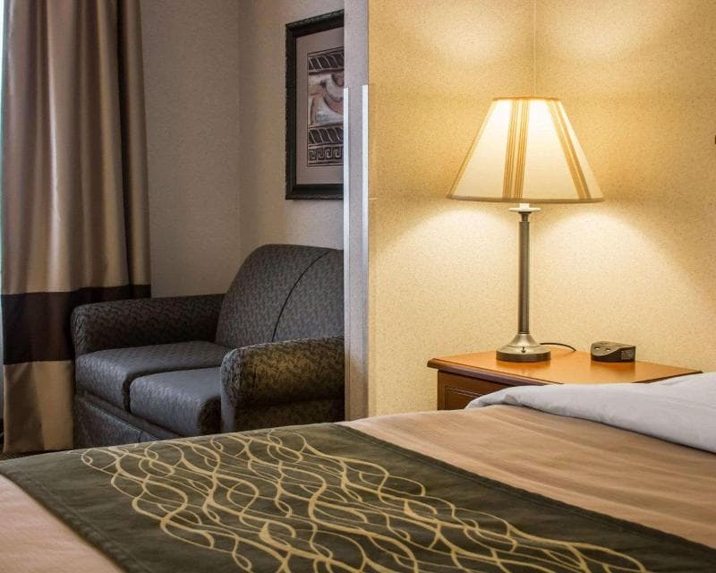 Comfort Inn And Suites Dimondale - Lansing 4