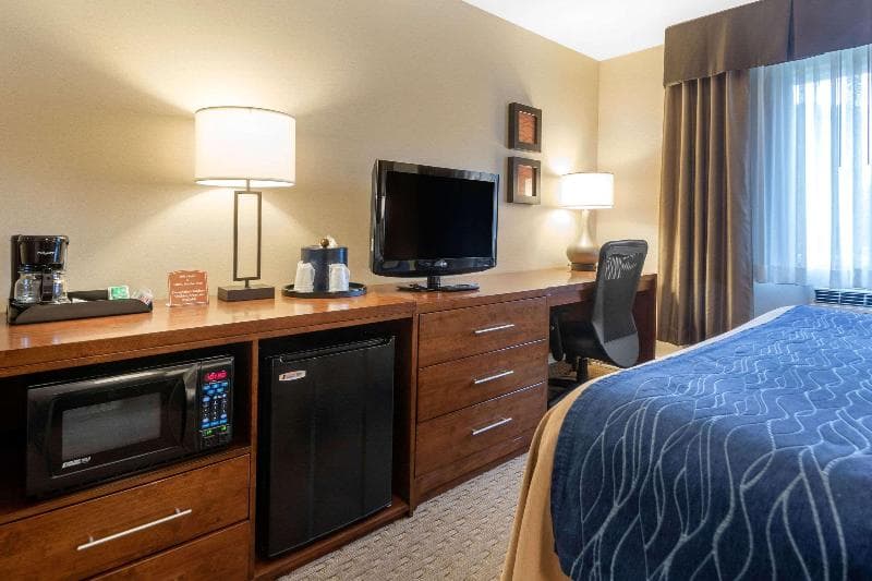 Comfort Inn 5