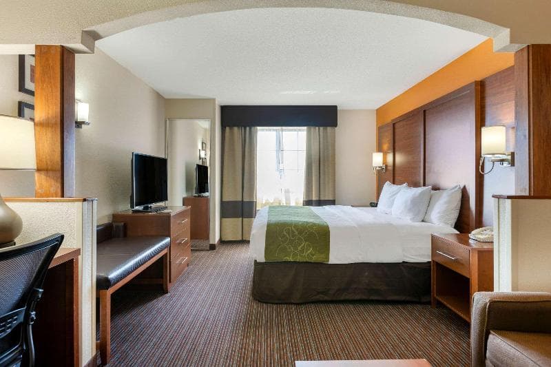 Comfort Suites Stevensville - St. Joseph 3