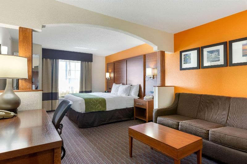 Comfort Suites Stevensville - St. Joseph 5