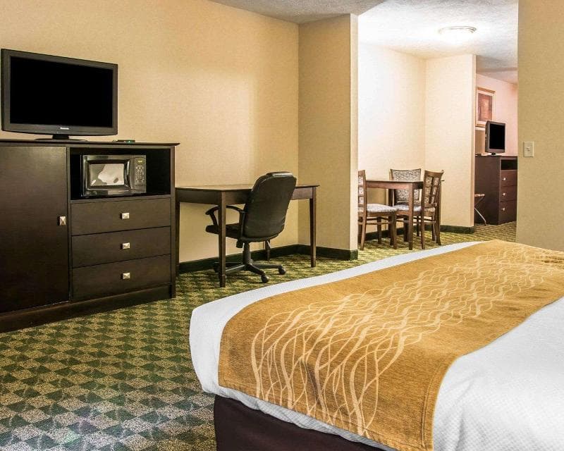 Comfort Inn Whitehall Near Michigan's Adventure 4