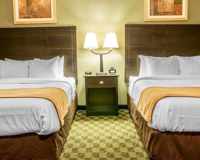 Comfort Inn Whitehall Near Michigan's Adventure 5
