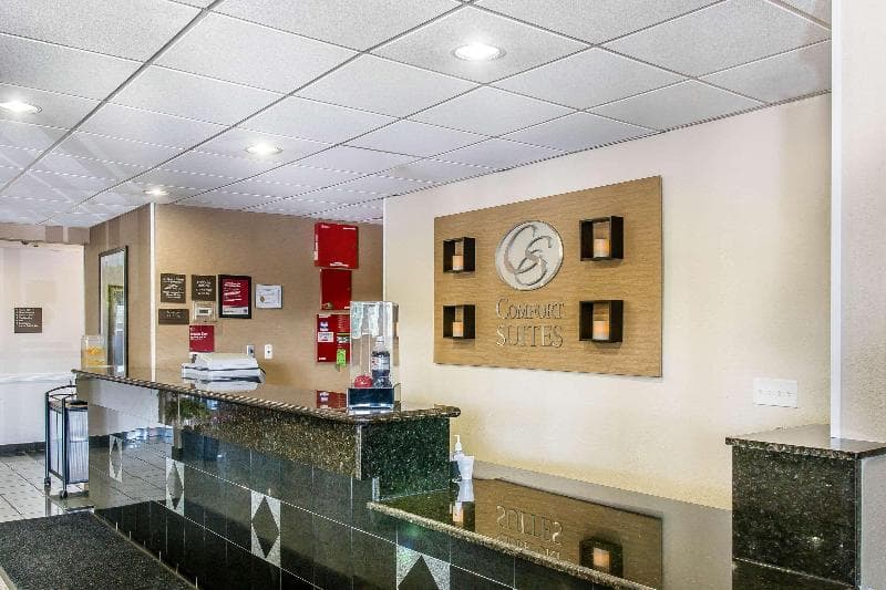 Comfort Suites Wixom 3