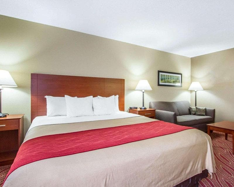 Comfort Inn 5