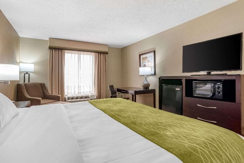 Comfort Inn Pearl photo 1