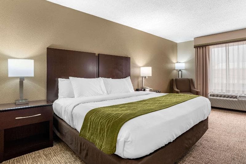 Comfort Inn Pearl 3