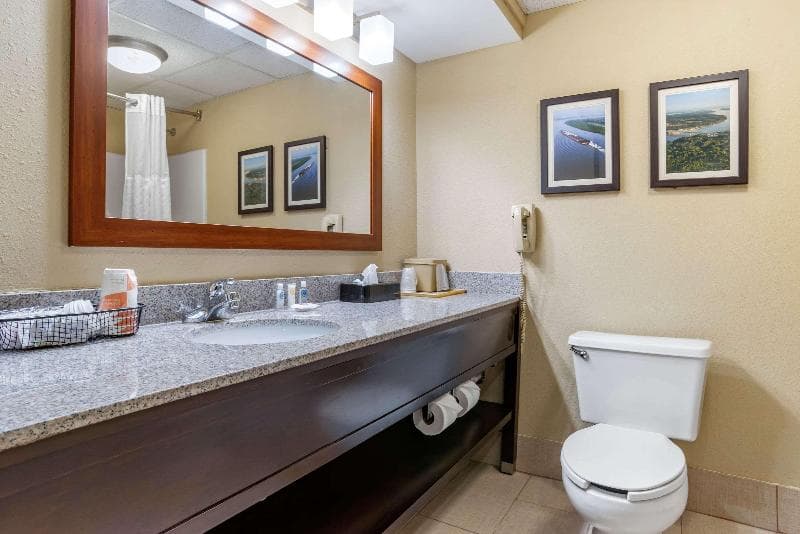 Comfort Inn Pearl 5