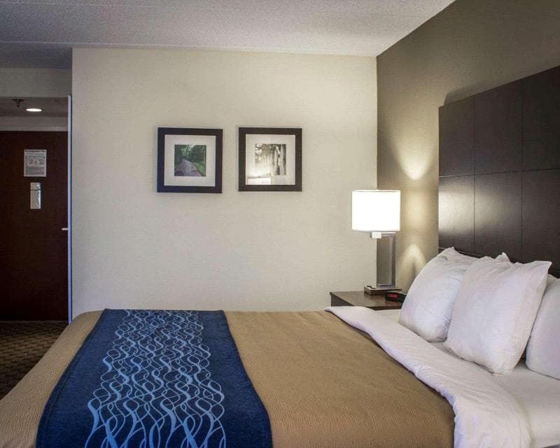 Comfort Inn & Suites 5