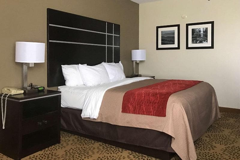 Comfort Inn North Of Asheville 4