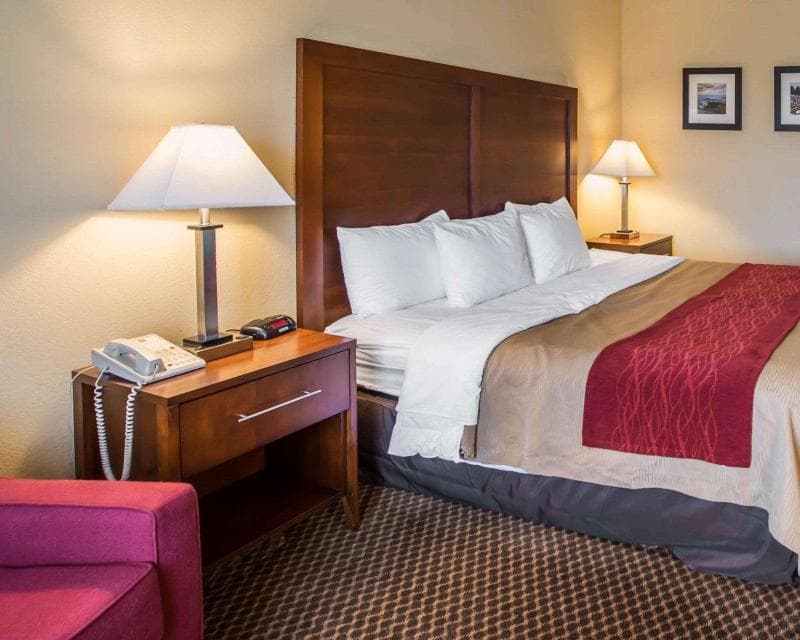 Comfort Inn & Suites 5