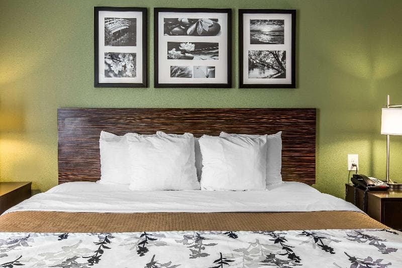 Sleep Inn & Suites Mount Olive 5