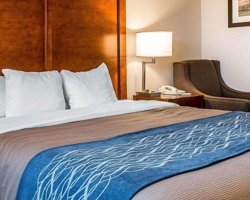 Comfort Inn 4