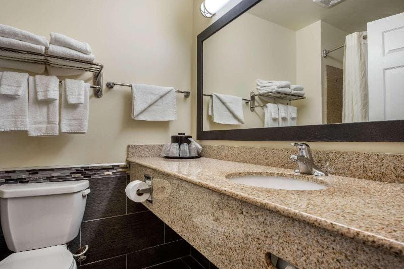 Mainstay Suites Grantville - Hershey North 5