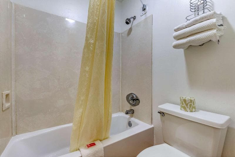 Econo Lodge Inn & Suites Lugoff 5