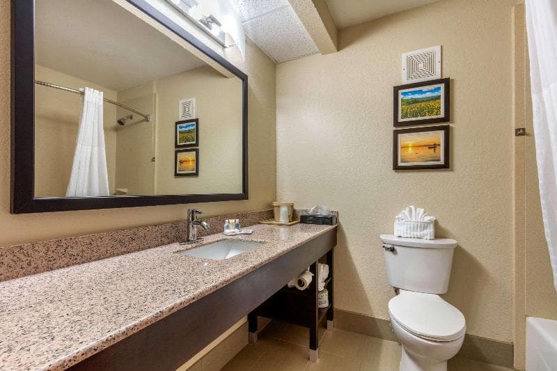 Comfort Inn Lenoir City 2