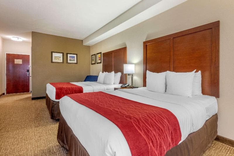 Comfort Inn Lenoir City 4