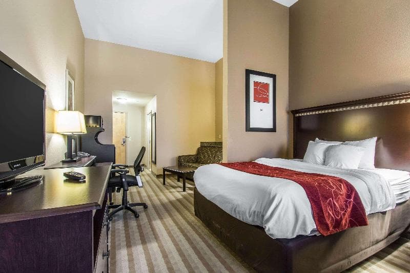 Comfort Suites Smyrna photo 1