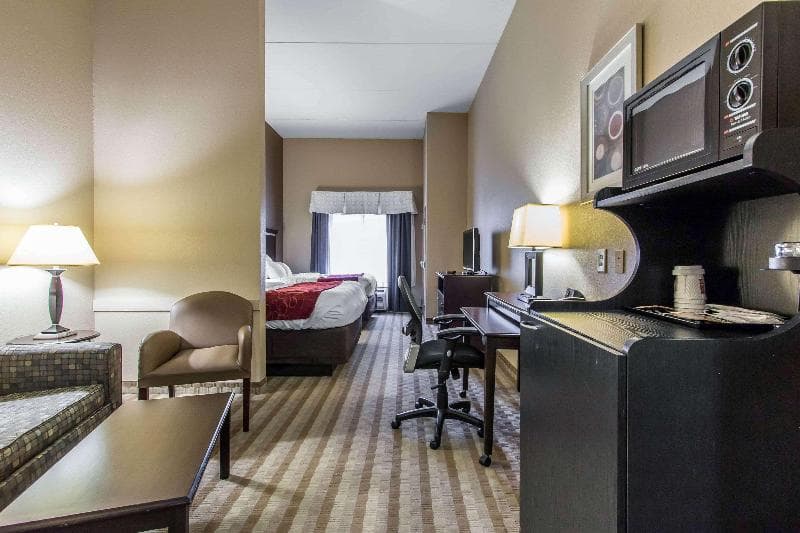 Comfort Suites Smyrna 2