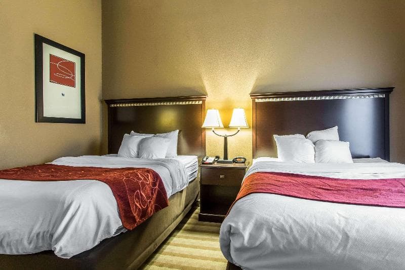 Comfort Suites Smyrna 3