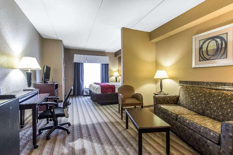 Comfort Suites Smyrna 4