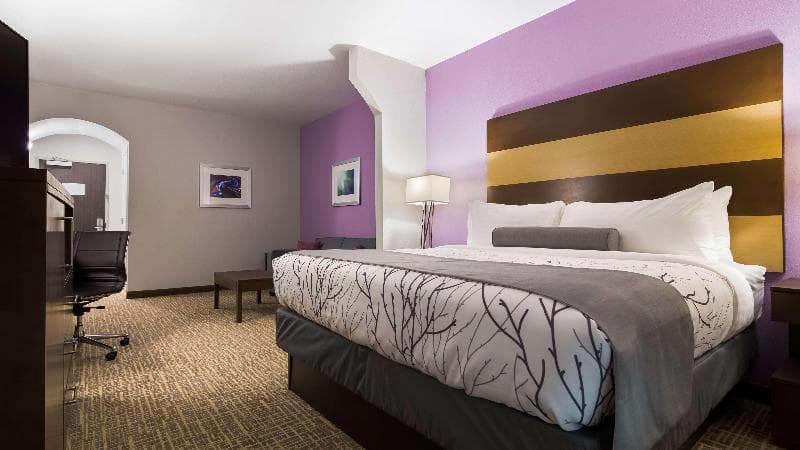Best Western Plus Buda Austin Inn & Suites 2