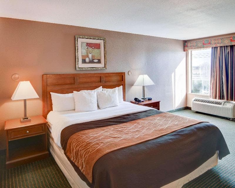Comfort Inn 4