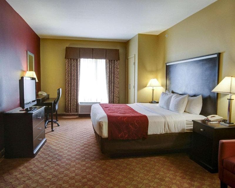 Comfort Suites Spring 5