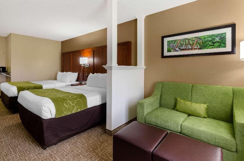 Comfort Suites Abingdon 5