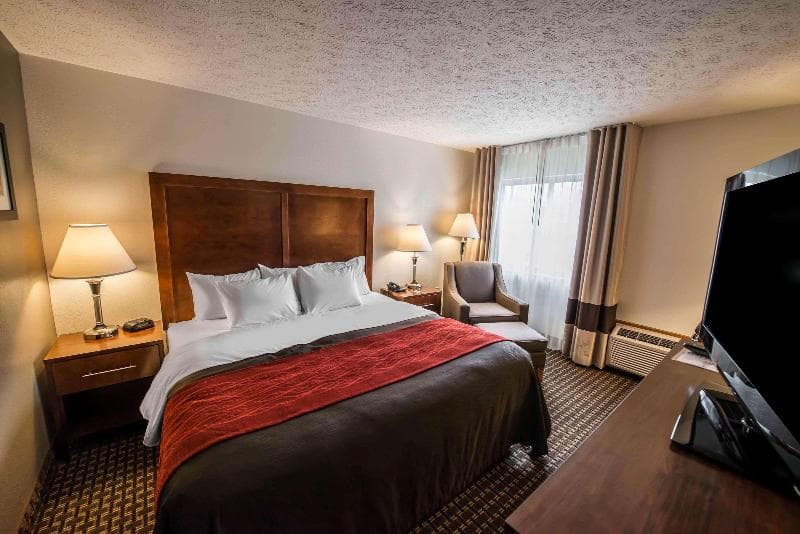 Comfort Inn Atkins 3
