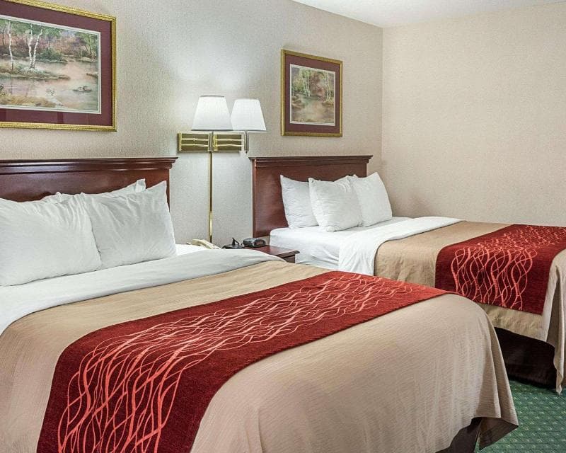 Holiday Inn Express Gloucester, an IHG Hotel 4
