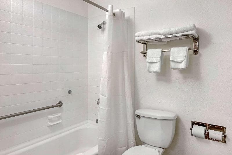 Quality Inn & Suites 3