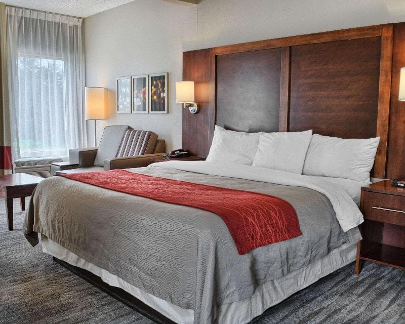 Comfort Inn Ruther Glen Near Kings Dominion 2