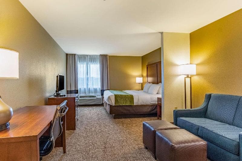 Comfort Inn & Suites Tuscumbia - Muscle Shoals photo 1