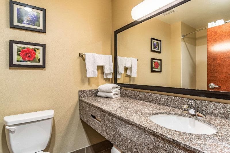 Comfort Inn & Suites Tuscumbia - Muscle Shoals 3