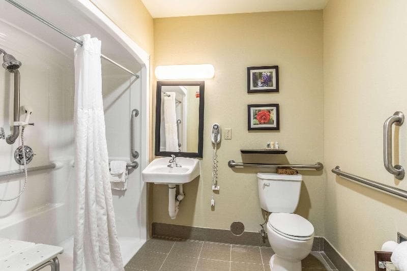 Comfort Inn & Suites Tuscumbia - Muscle Shoals 4
