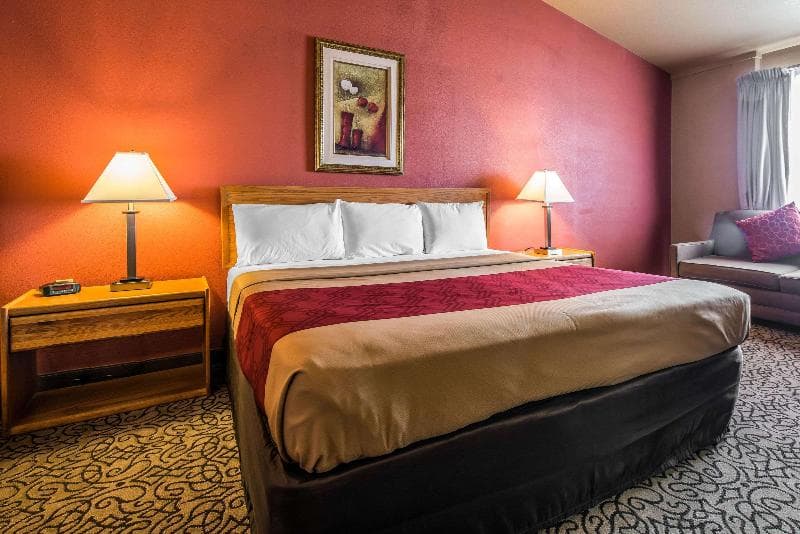 Rodeway Inn 5