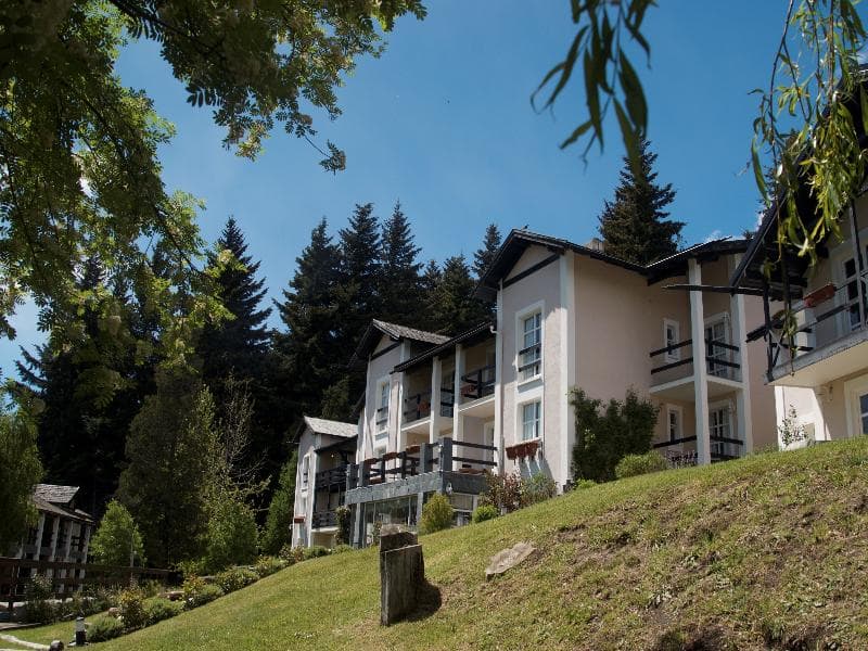 Aldea Andina Hotel & Spa 5