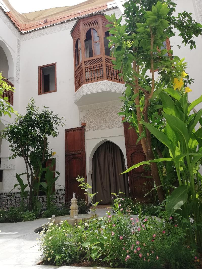 Riad Ben Youssef photo 1