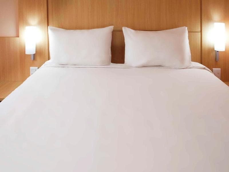 Ibis Rio De Janeiro Botafogo 4