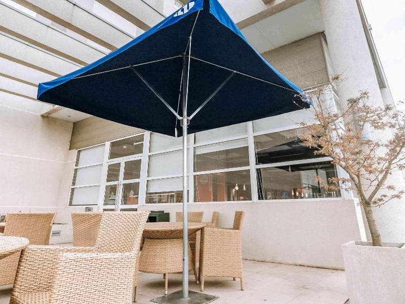 ibis Concepción 2