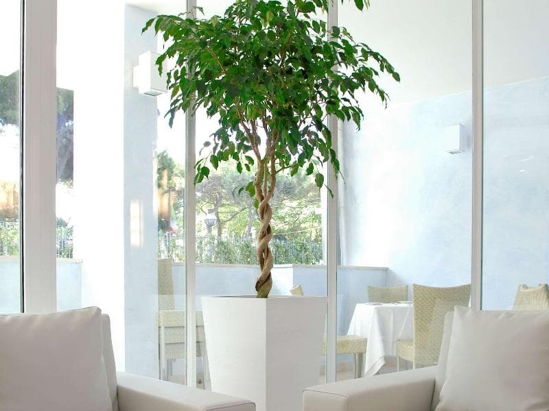 Mercure Rimini Lungomare 4