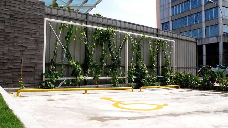 Heliconia Hotel photo 1