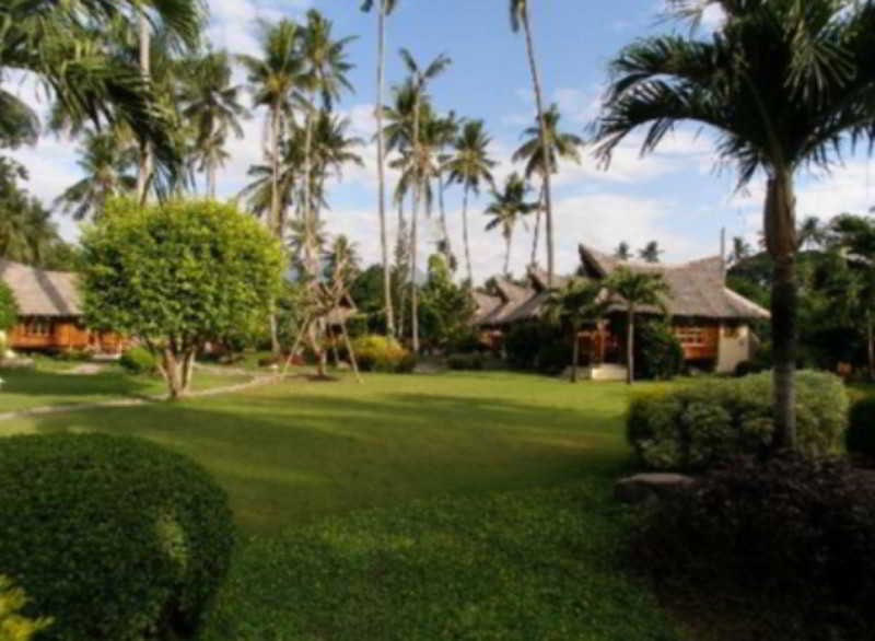 Pura Vida Beach & Dive Resort 5