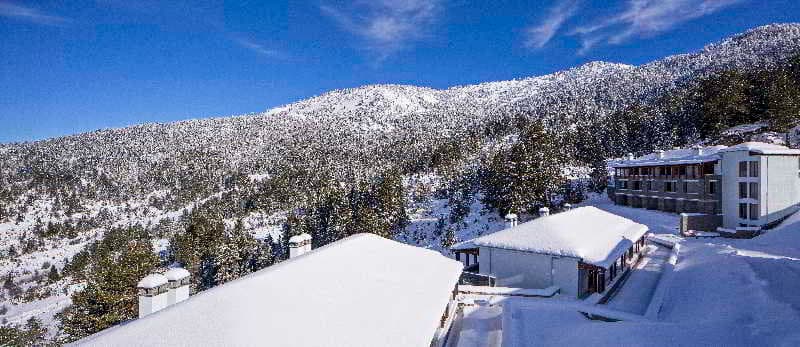 Grand Forest Metsovo 2