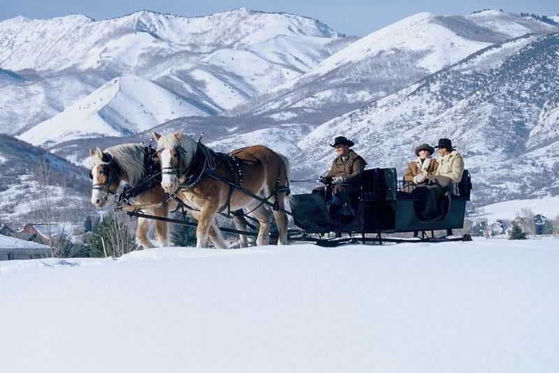 Homestead Resort photo 1